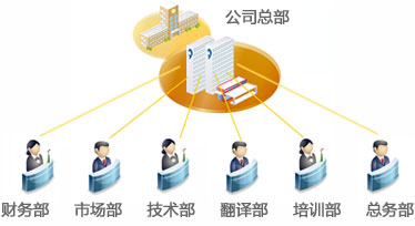 公司架构