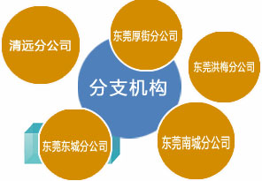 公司架构
